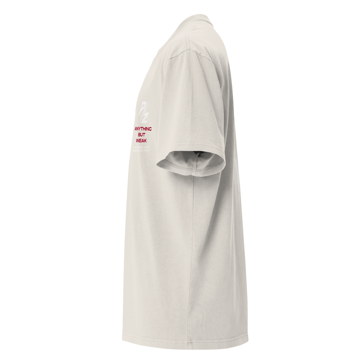 Anything But Weak Oversized Tee – Phase Zero Co oversized tee product image 27