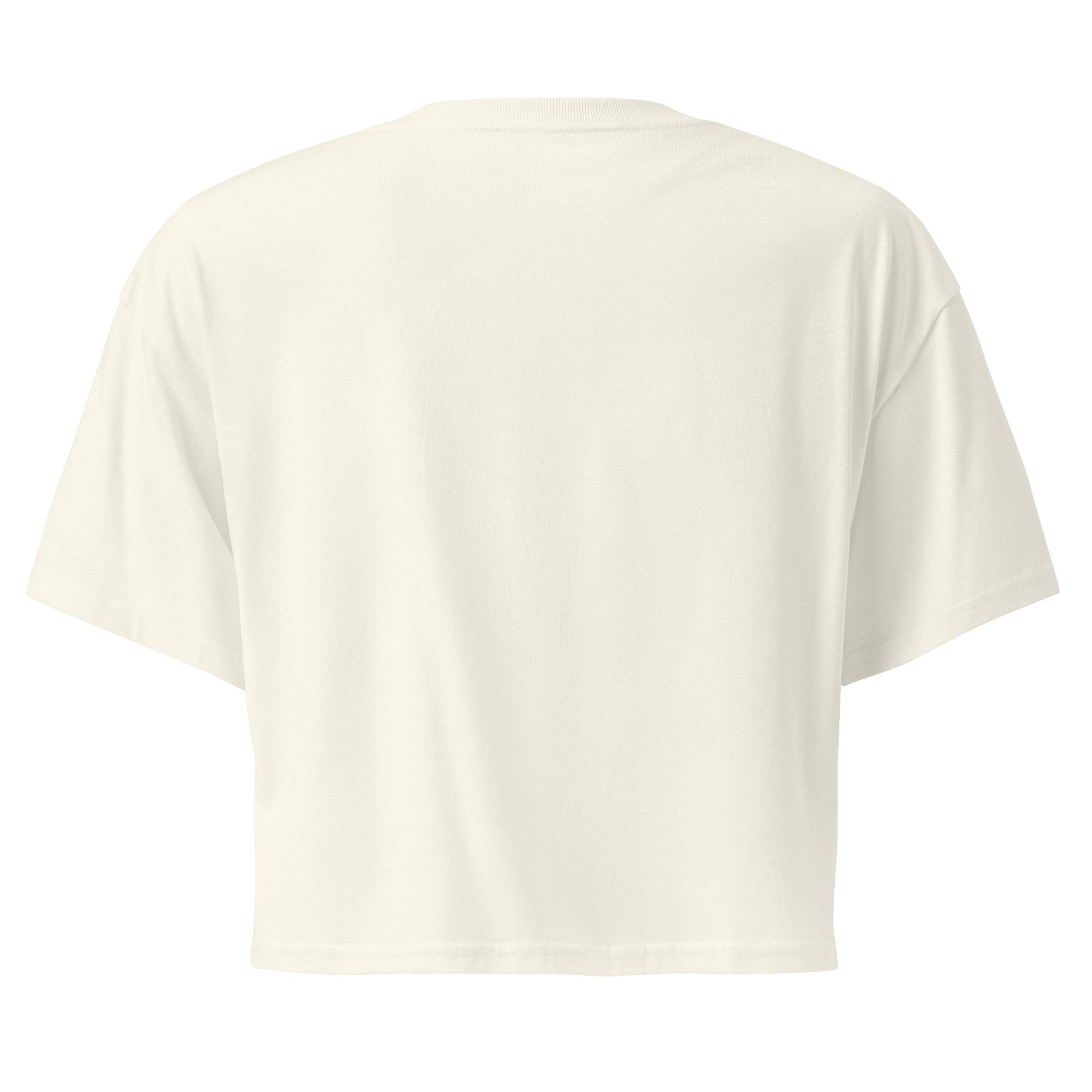 Gymrats Nostalgic Crop Top - Phase Zero Co