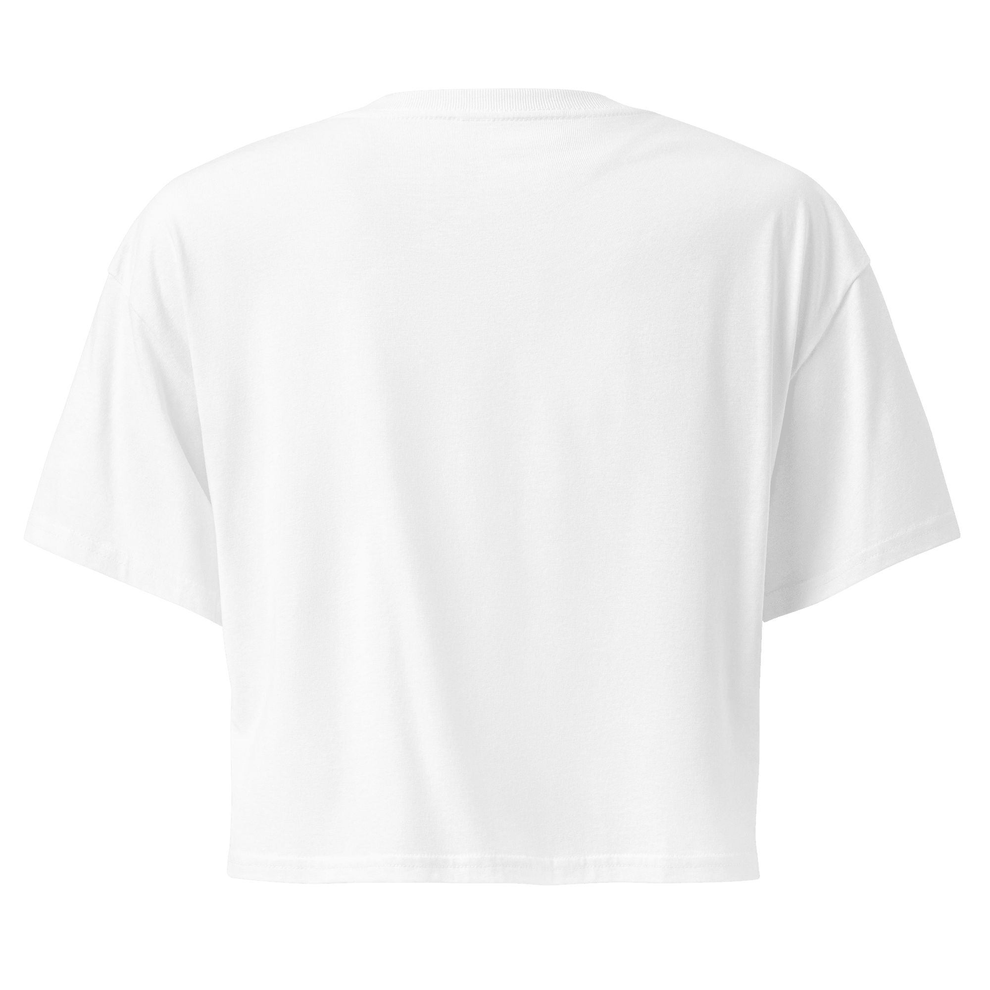 Gymrats Nostalgic Crop Top - Phase Zero Co