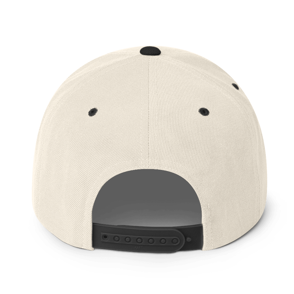 PZ Snapback Hat - Phase Zero Co