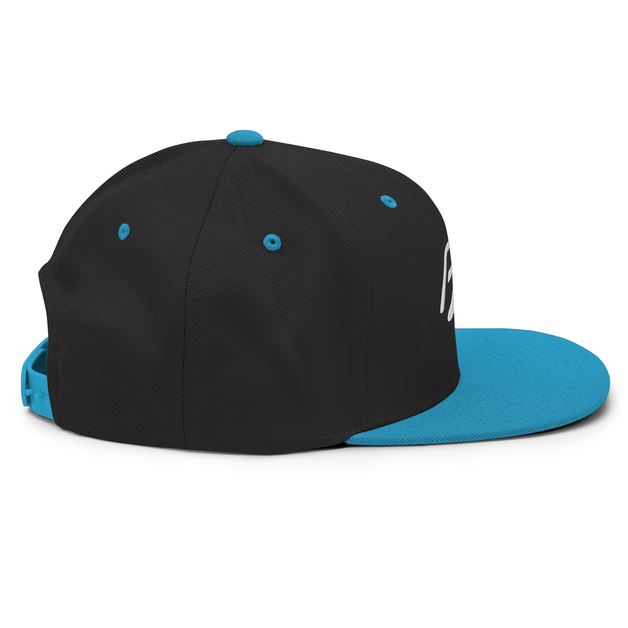 PZ Snapback Hat - Phase Zero Co