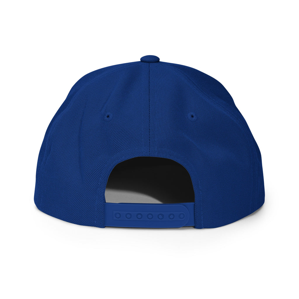 PZ Snapback Hat - Phase Zero Co