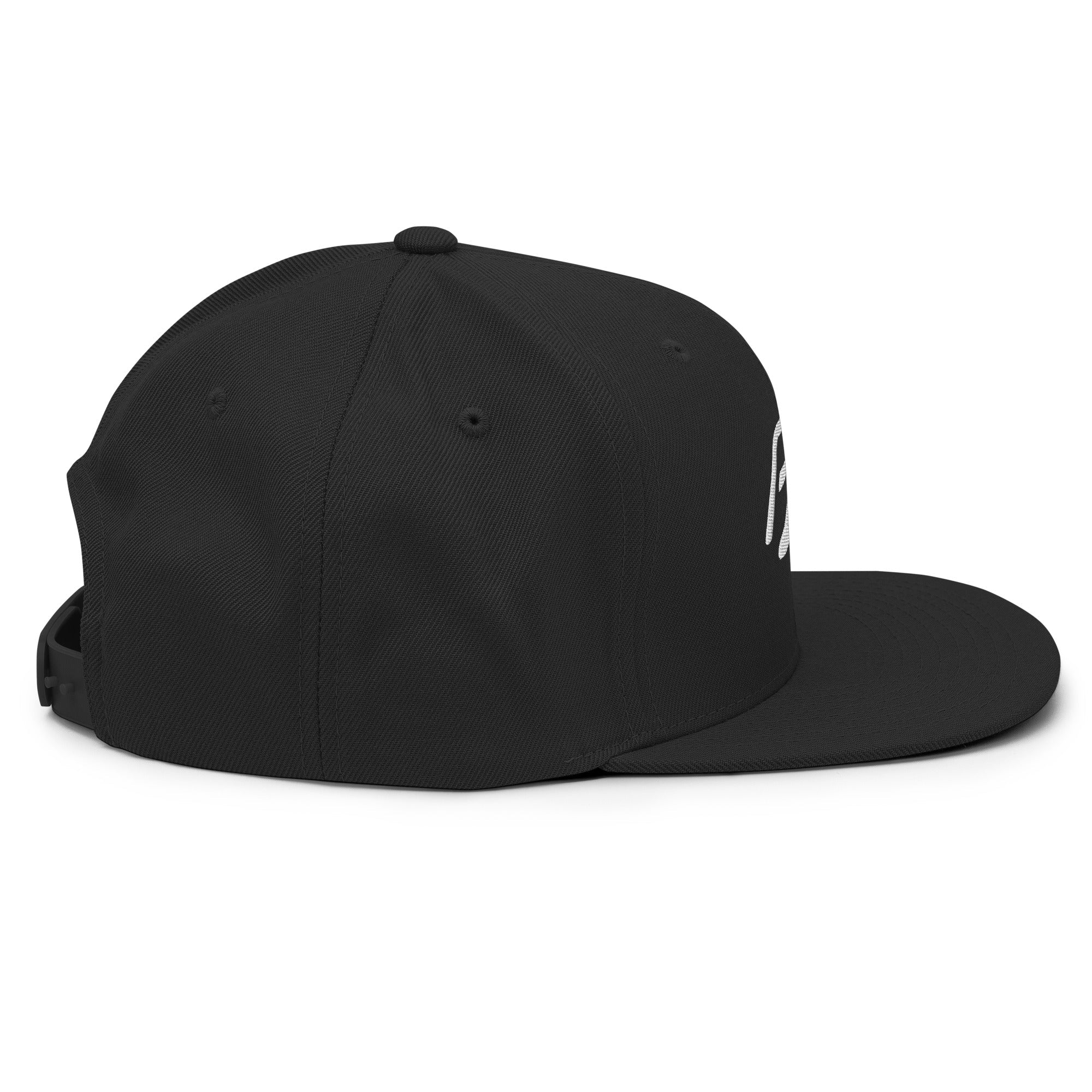 PZ Snapback Hat - Phase Zero Co